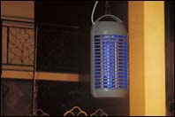 cricri300_wintergarten