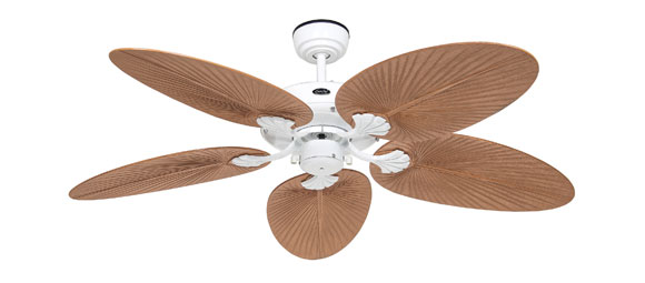 Outdoor-Classic-Teaser