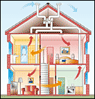 prometeo_gebaeudeschemaschema