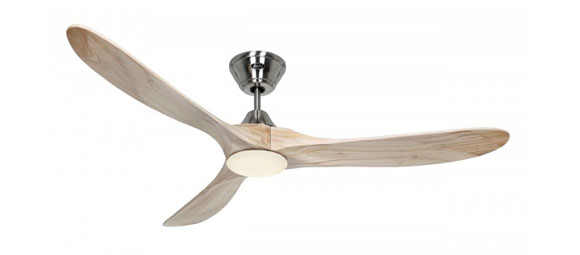 ECO-GENUINO-L-Teaser