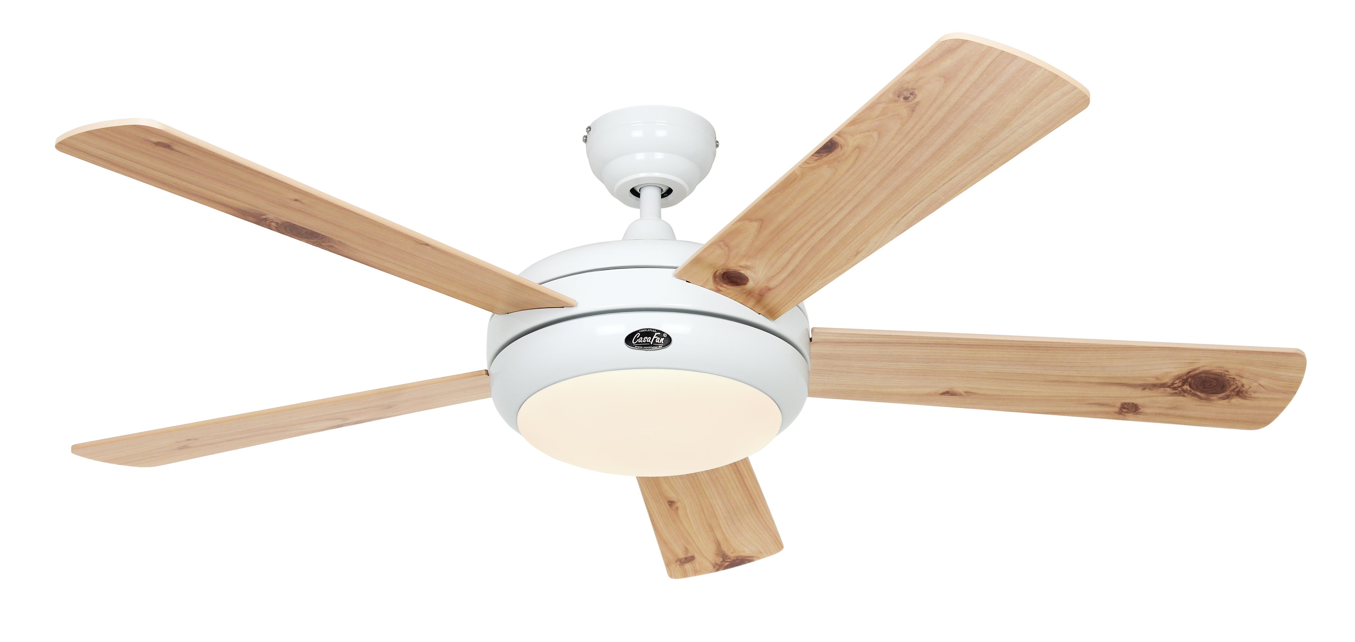 Titanium 132 WE-BU/KF Flügelansicht Kiefer