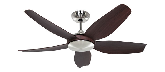 ECO-VOLARE-116-Teaser