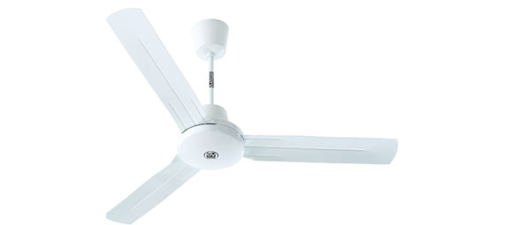 Nordik-International-Plus-Teaser