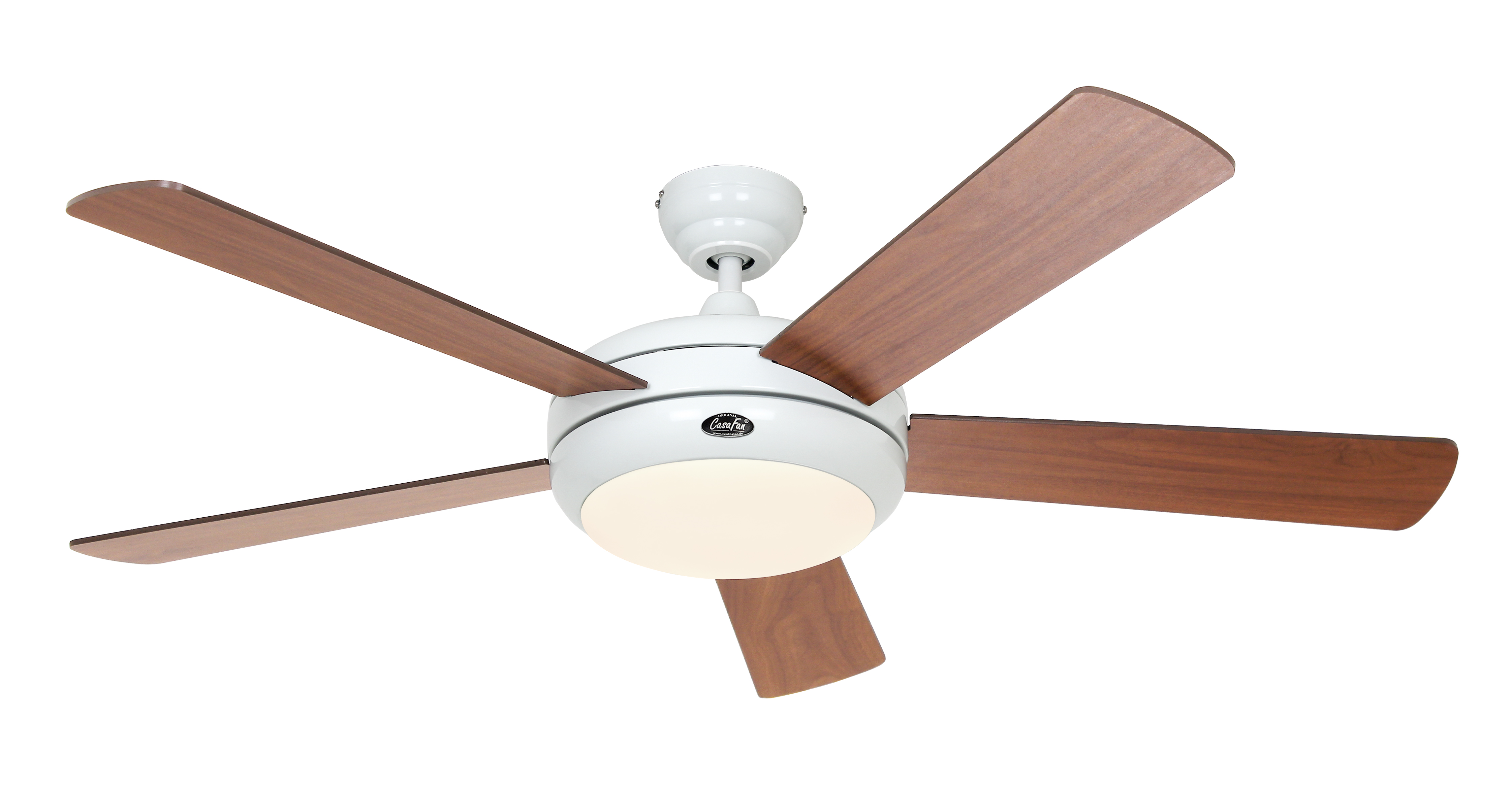 Titanium 132 WE-NB/KI Flügelansicht Kirsche