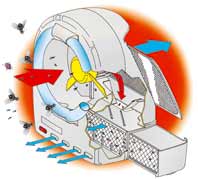 insectivoro_schemaklein