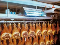 mostick_lebensmittel